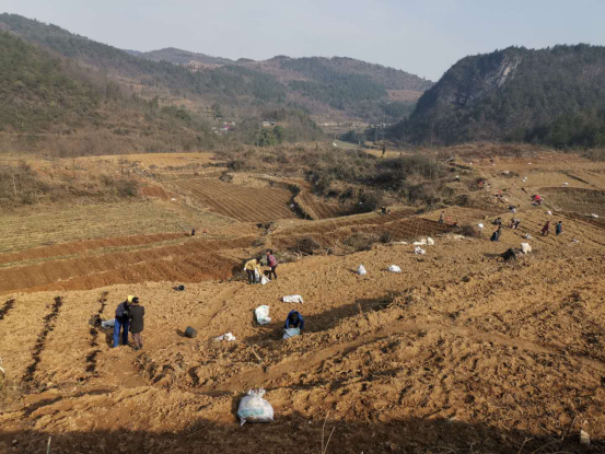    ˾ַؚ(du)ɲ`483.png