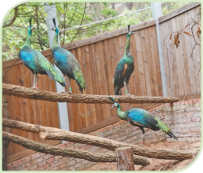 ����ʧ20���굽�ɹ���Ȼ����  �G��ȸ�ص��˱��o(h��)�^(q��)