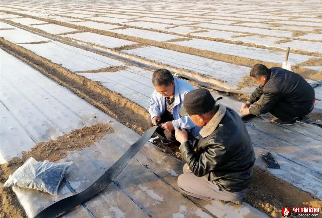 微信圖片_20200312220155.jpg