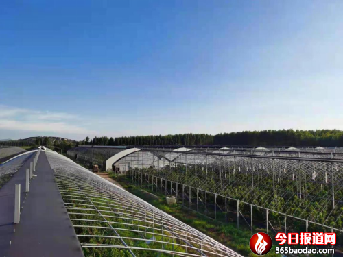 ɽƌW(xu)l(xing)댍 ഺ۽l(xing)dA֮840.png