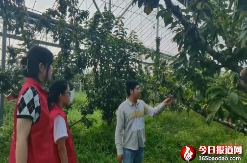 ɽƌW(xu)l(xing)댍 ഺ۽l(xing)dA֮811.png