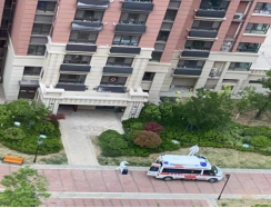 ȪǑ(zhn)  Сx“”(Ԋ(sh)(1)540.png