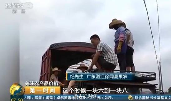 央視曝廣東菠蘿價(jià)格大跌 2毛一斤邊無人問津