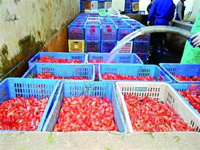 r(jng)֒ڹS(ni)˝ˮء